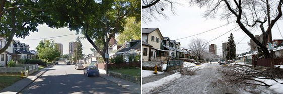 Don't you miss leaves? Before and After photos of the Toronto Ice Storm