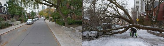 Toronto Ice Storm - That Poor Tree and Car - Slightly different angle before 
