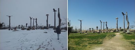Arad, Israel, snow storm 2015 before and after, park close to Tzim center